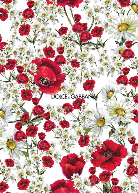 dolce gabbana floral print|dolce and gabbana art print.